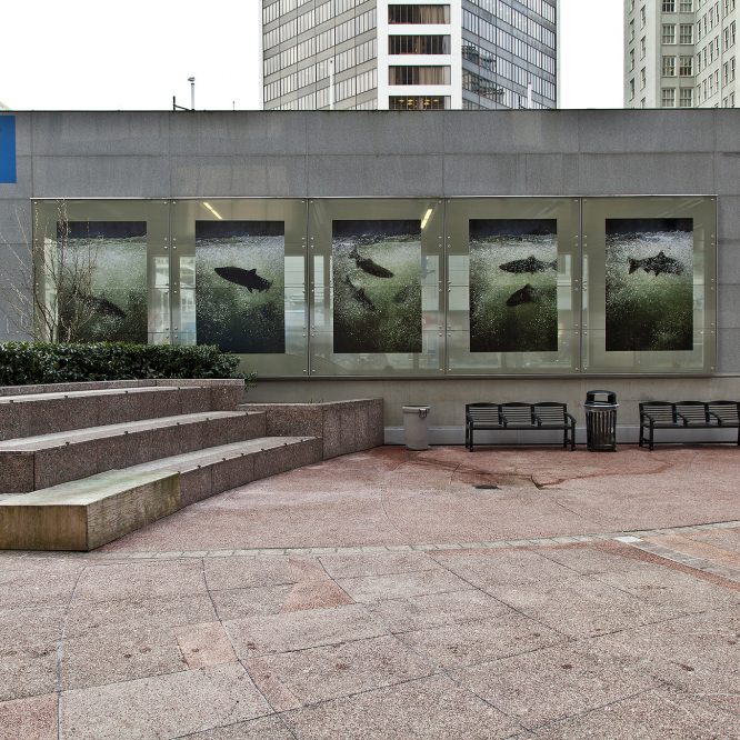 Photo of a random art installation