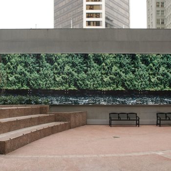Image of: Lines in architecture and art Art Installation by Arabella Campbell