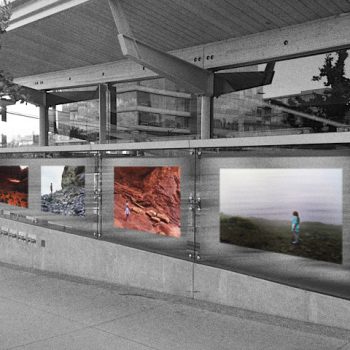 Image of: Karin Bubas Statement for Canada Line Art Installation by Karin Bubaš