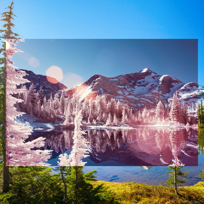 Photo: of an art installation called Alpine Infrared Revelations