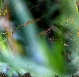 Photo: of an art installation called The Surface of an Image