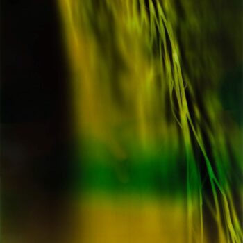 Image of: Synapse Art Installation by Lotus L. Kang